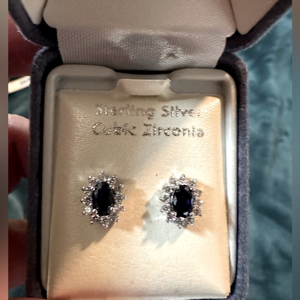 NWT Earrings